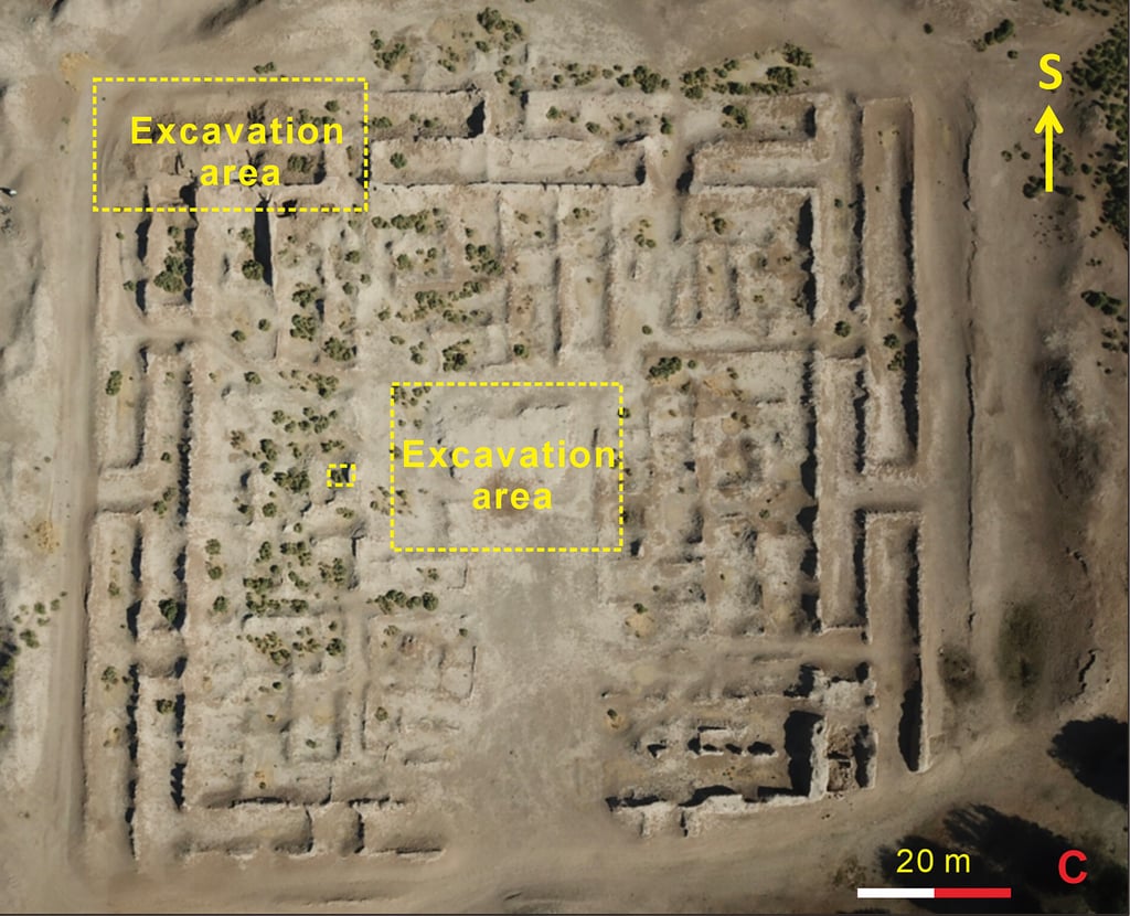 A map indicating the locations of sites associated with pre-Han silk findings in the Old World. Photo: X. Zhou/IVPP, CAS