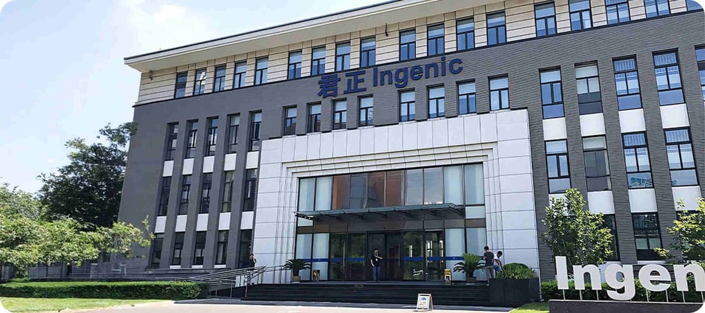 Ingenic Semiconductor is raising funds in Hong Kong. Photo: Handout