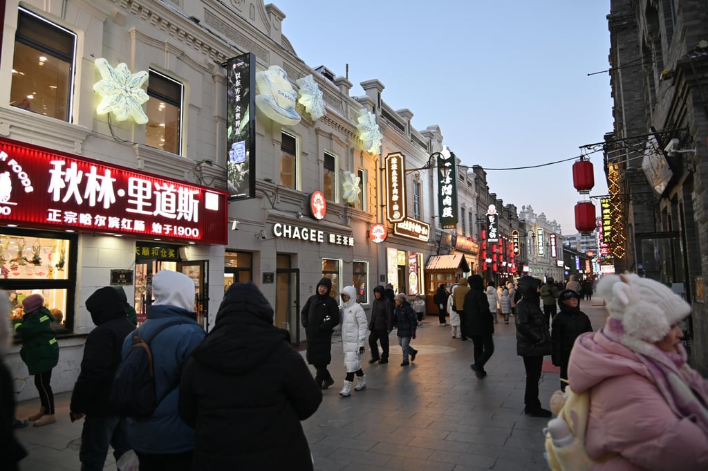 The winter streets of Harbin City are pictured above. In 1998, Li migrated to Harbin, Heilongjiang province's capital, where he met highway restaurant owner Lin and later promised to watch her house. Photo: Shutterstock