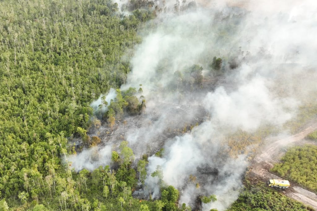 Smoke billows as a wildfire rages through a peatland forest in Bulungan, North Kalimantan, Indonesia, on Friday. Photo: AP
