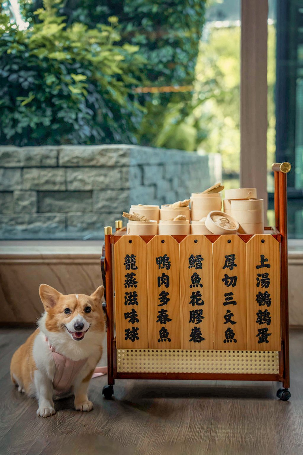 Sichuan Verandah is offering a basket of gourmet “doggy dim sum” to pups while owners enjoy a six-course set menu. Photo: Hyatt Centric Victoria Harbour Hong Kong Sichuan Verandah is offering a basket of gourmet “doggy dim sum” to pups while owners enjoy a six-course set menu. Photo: Hyatt Centric Victoria Harbour Hong Kong