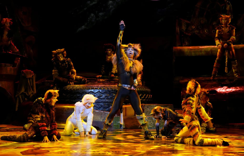 Dylan Janse van Rensburg stars as the rebellious Rum Tum Tugger (centre) in Cats. Photo: Nardus Engelbrecht Dylan Janse van Rensburg stars as the rebellious Rum Tum Tugger (centre) in Cats. Photo: Nardus Engelbrecht