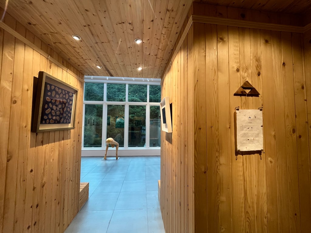 The entrance to Kabinett art space, where pine panels and floor-to-ceiling windows overlooking Wong Chuk Hang’s green hills give off Scandinavian cabin vibes. Photo: Enid Tsui