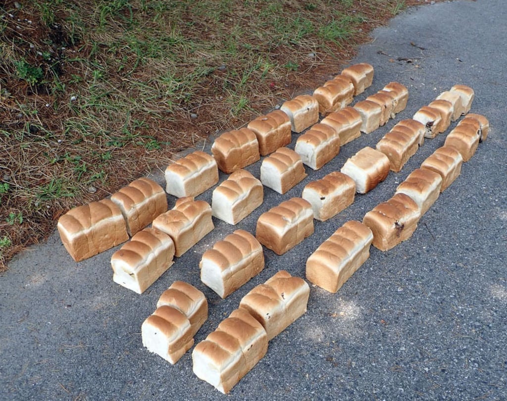 Loaves of bread that were left by the side of the road in Daisen-Oki National Park in Tottori Prefecture. Photo: Kyodo Loaves of bread that were left by the side of the road in Daisen-Oki National Park in Tottori Prefecture. Photo: Kyodo