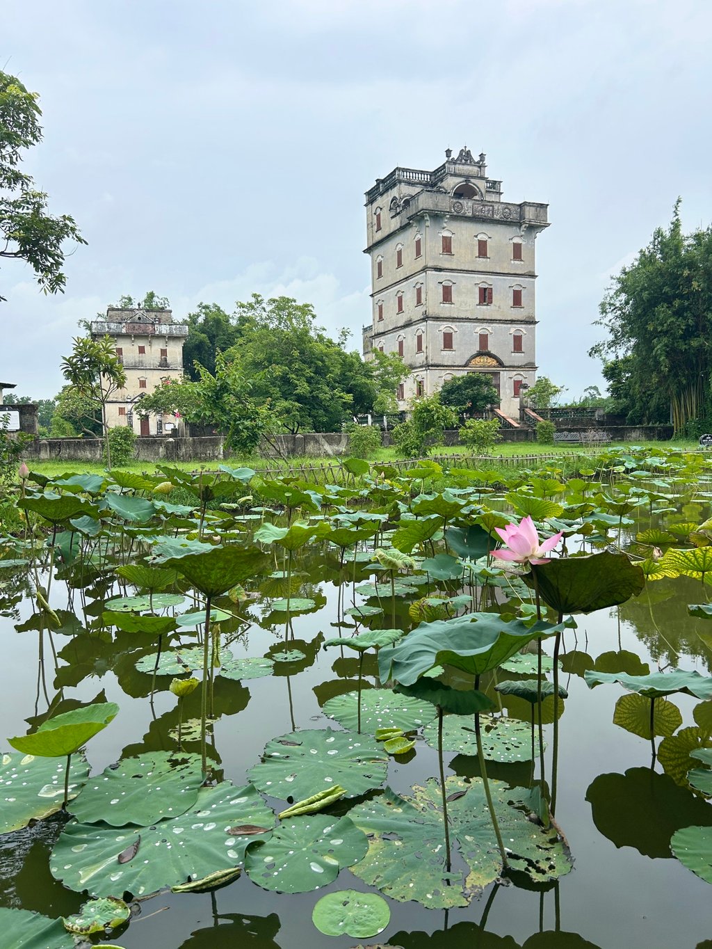 Surrounded by ponds filled with lotus flowers, the diaolou in Zili are some of Kaiping’s best-preserved. Photo: Jakki Phillips Surrounded by ponds filled with lotus flowers, the diaolou in Zili are some of Kaiping’s best-preserved. Photo: Jakki Phillips
