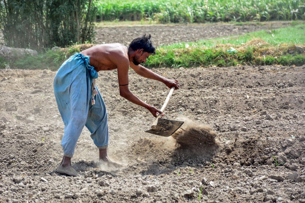 A farmer works a field in Hyderabad, Pakistan’s Sindh province. Pakistan relies on the Indus tributaries to feed its agricultural heartland. Photo: AFP A farmer works a field in Hyderabad, Pakistan’s Sindh province. Pakistan relies on the Indus tributaries to feed its agricultural heartland. Photo: AFP