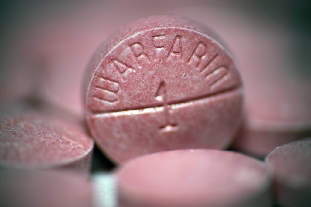 Warfarin is a blood thinner used to prevent and treat blood clots. Danshen, or red sage, is commonly used in Chinese medicine and can increase warfarin’s anticoagulant effect. Photo: Getty Images