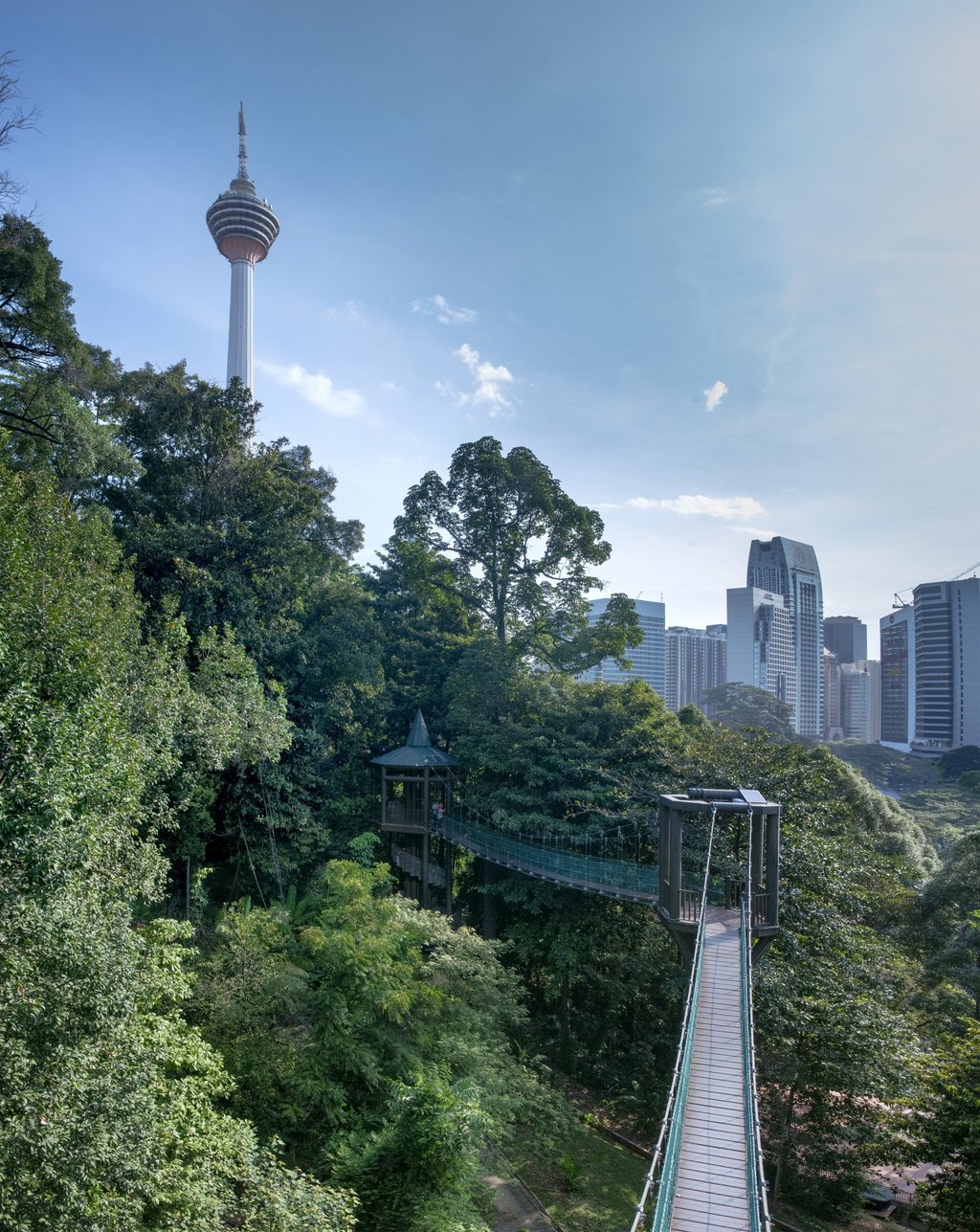 The tree-shrouded canopy walk snakes its way through the KL Forest Eco Park, in the heart of the Malaysian capital. Photo: Shutterstock