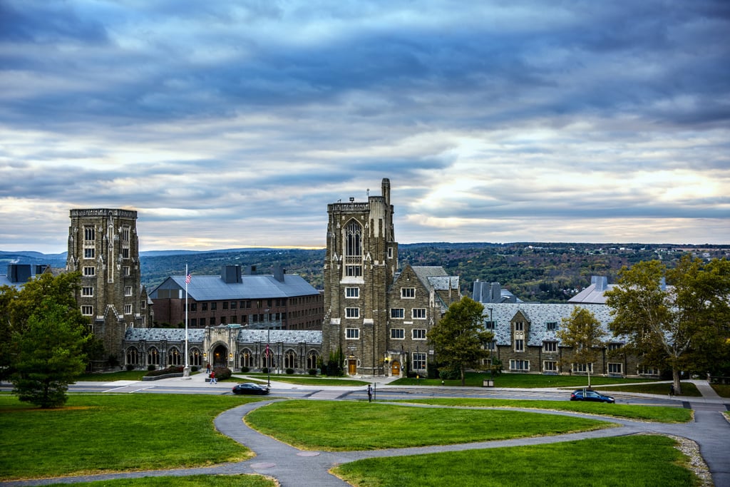 Cornell University in New York. Photo: TNS Cornell University in New York. Photo: TNS