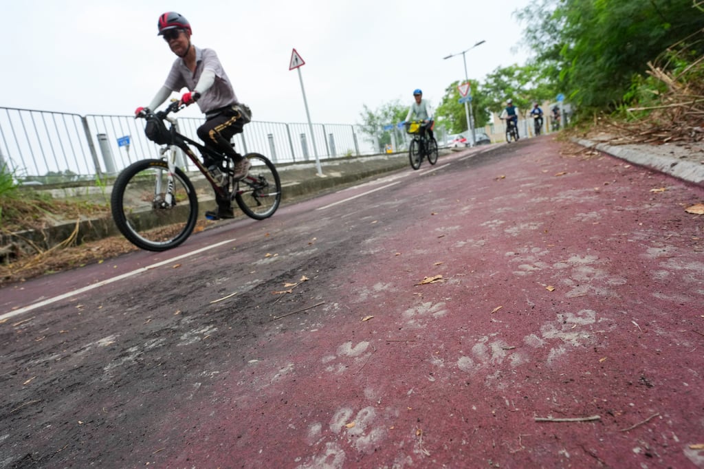 Dog paw prints cover a cycling path in Yuen Long, near where the woman was found dead. Photo: Kit Lai Dog paw prints cover a cycling path in Yuen Long, near where the woman was found dead. Photo: Kit Lai