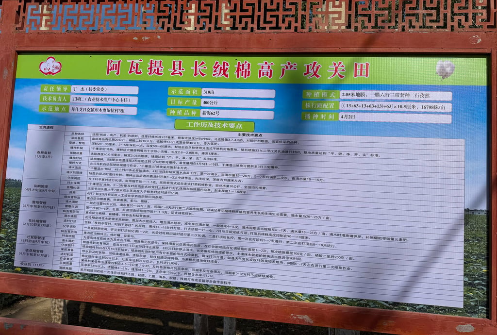 Known as China’s “home of long-staple cotton”, Awati county in Aksu, southern Xinjiang is a major sourcing hub targeted by trade restrictions imposed by the United States. Photo: Xinlu Liang