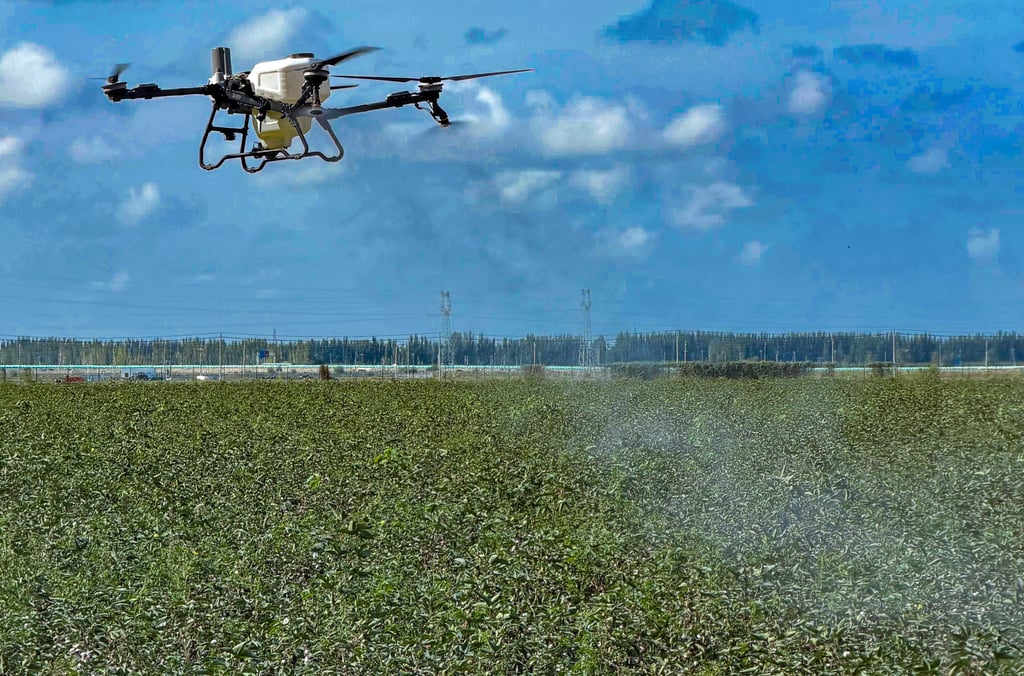 A drone sprays cotton fields during a government-organised media visit to China’s Xinjiang Uygur autonomous region in September. Photo: Xinlu Liang