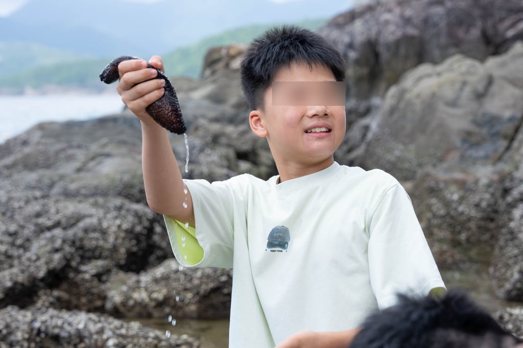 The group recorded marine life collection, littering and wildlife disturbance, prompting calls for tighter visitor controls. Photo: Greenpeace The group recorded marine life collection, littering and wildlife disturbance, prompting calls for tighter visitor controls. Photo: Greenpeace