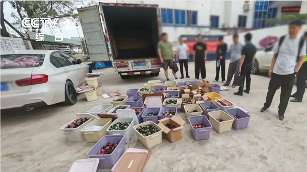 Investigators revealed that the ringleader, Huang, netted over 5 million yuan (US$750,000) in illegal profits in just over a year. Photo: CCTV
