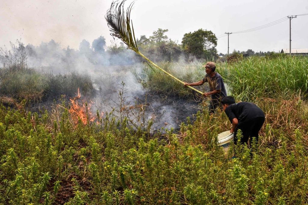 People extinguish a wildfire in Barito Kuala regency, South Kalimantan province, on Saturday. Photo: AFP
