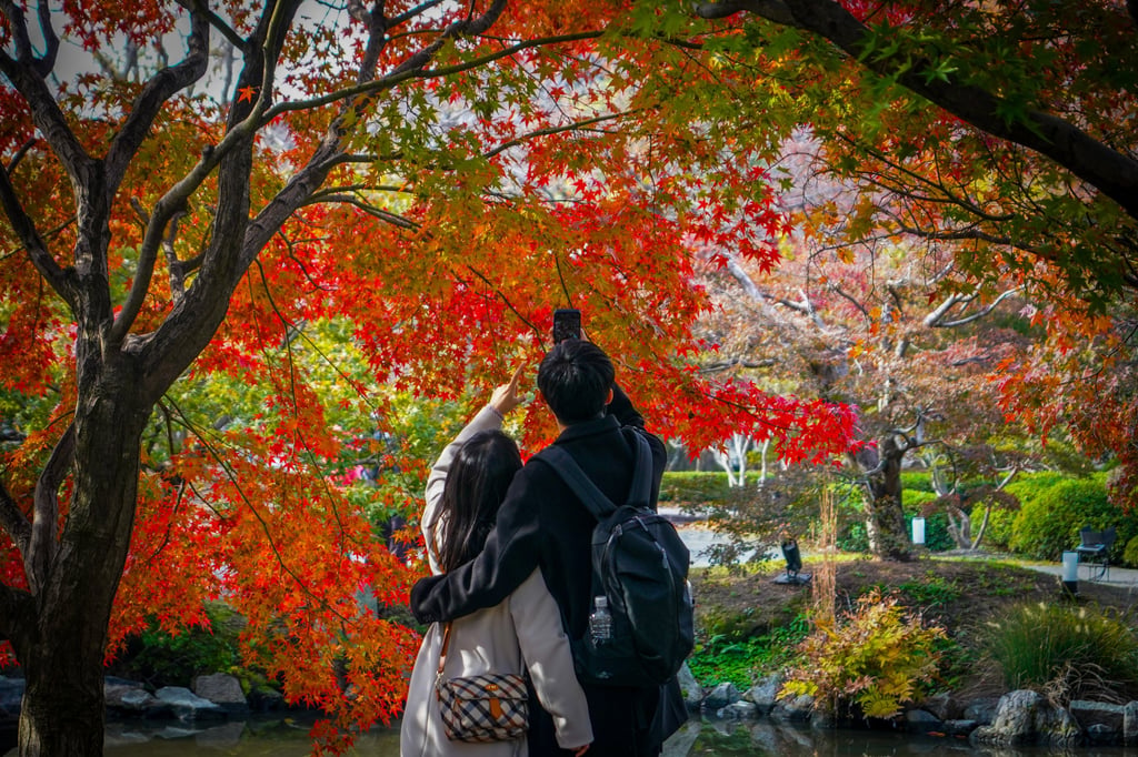 A couple admires the autumn leaves at To-ji Temple in Kyoto. Japan’s government-backed dating app has helped 265 couples tie the knot. Photo: SOPA Images/LightRocket via Getty Images A couple admires the autumn leaves at To-ji Temple in Kyoto. Japan’s government-backed dating app has helped 265 couples tie the knot. Photo: SOPA Images/LightRocket via Getty Images