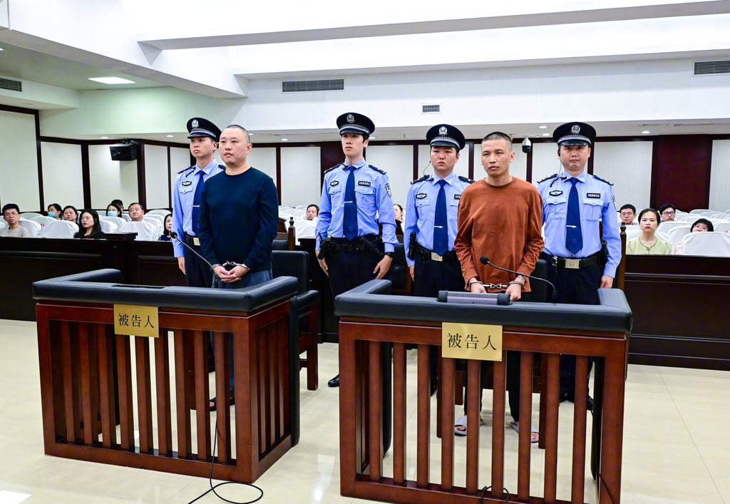 Chen Dawei (right) was groomed as the Wei clan’s second-generation armed enforcer and used private militias to carry out killings, including those of two Chinese nationals. Photo: Handout
