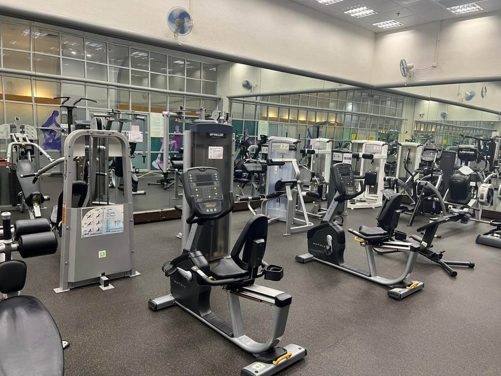 The Leisure and Cultural Services Department currently operates 87 public gyms. Photo: Handout