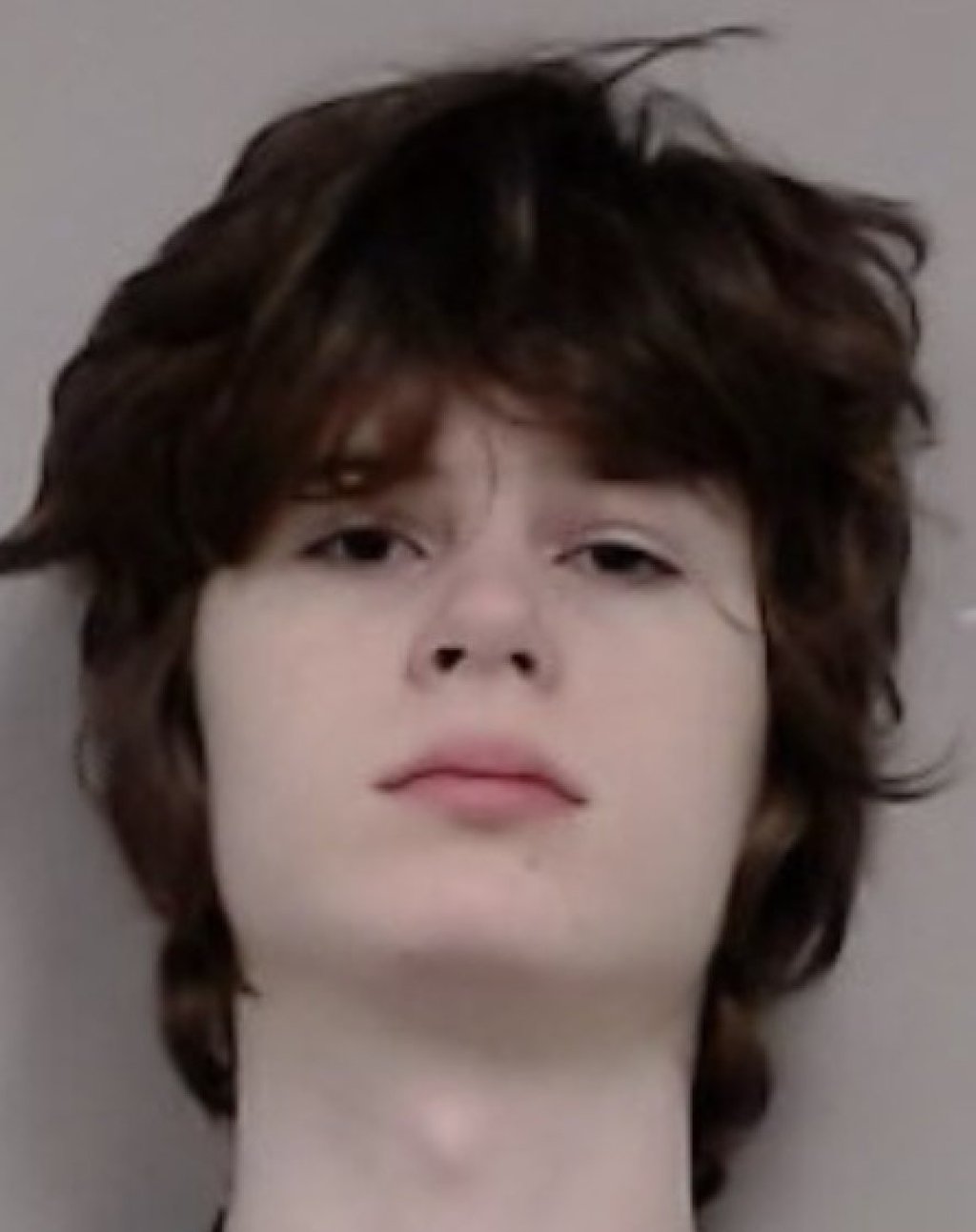 Suspect Alexandros Paporakis. Photo: Palatine Police Department via AP