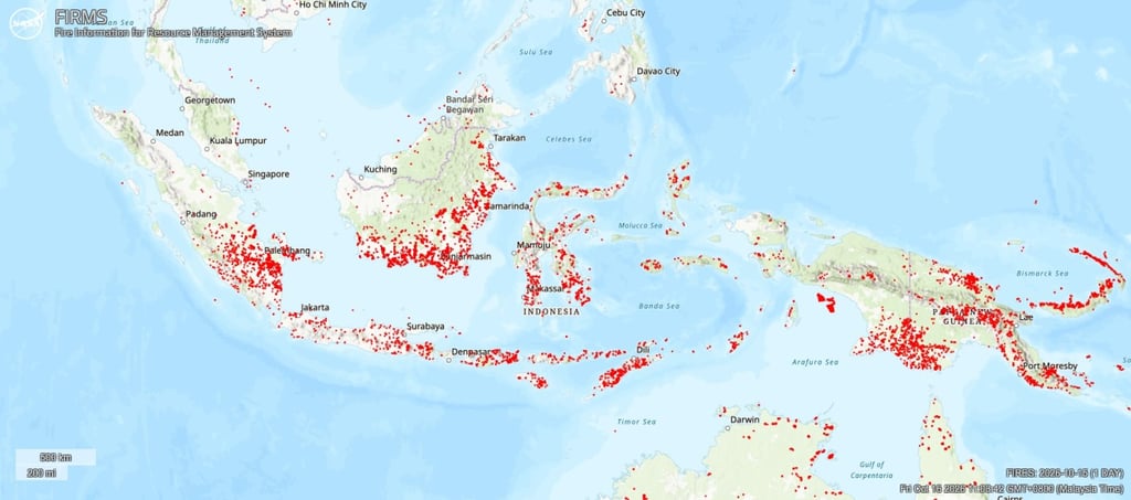 Nasa’s Fire Information for Resource Management System map shows dense clusters of active fire detections across Sumatra and parts of Kalimantan. Photo: FIRMS Nasa’s Fire Information for Resource Management System map shows dense clusters of active fire detections across Sumatra and parts of Kalimantan. Photo: FIRMS