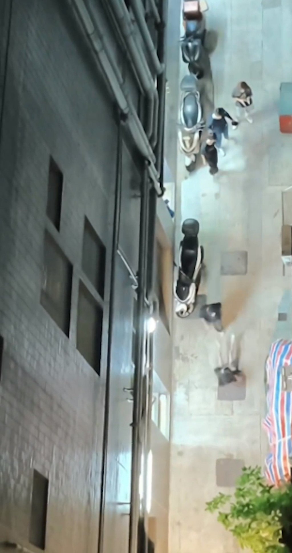The clip shows the victim being punched and slapped. Photo: Facebook/TalentedDeer6753