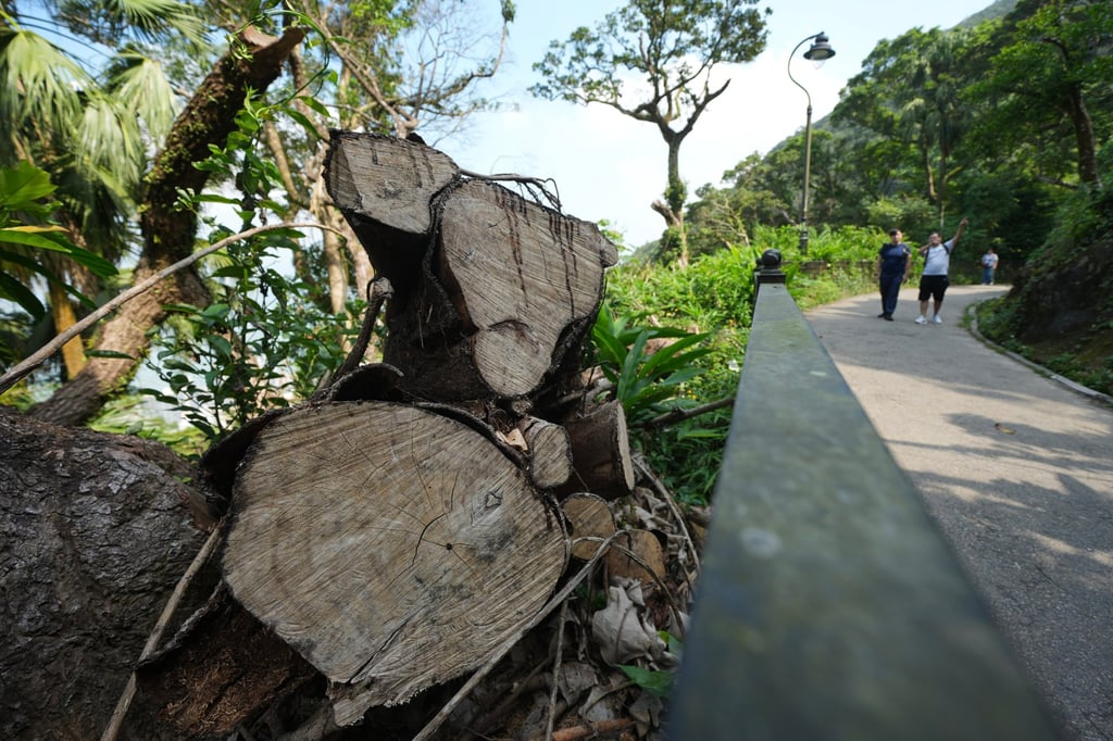 The project has drawn complaints from residents, who accuse the Tourism Board of removing trees and flowers. Photo: Sam Tsang