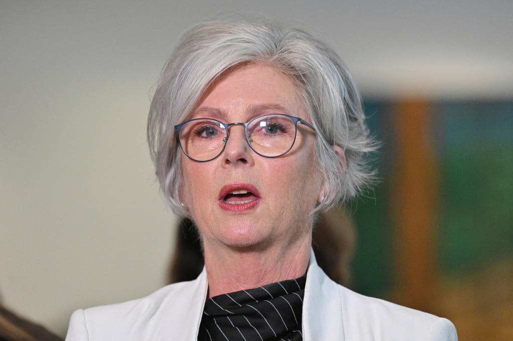 Australian MP Helen Haines speaks at a press conference at Parliament House in Canberra on May 26. Photo: AAP / AP Australian MP Helen Haines speaks at a press conference at Parliament House in Canberra on May 26. Photo: AAP / AP