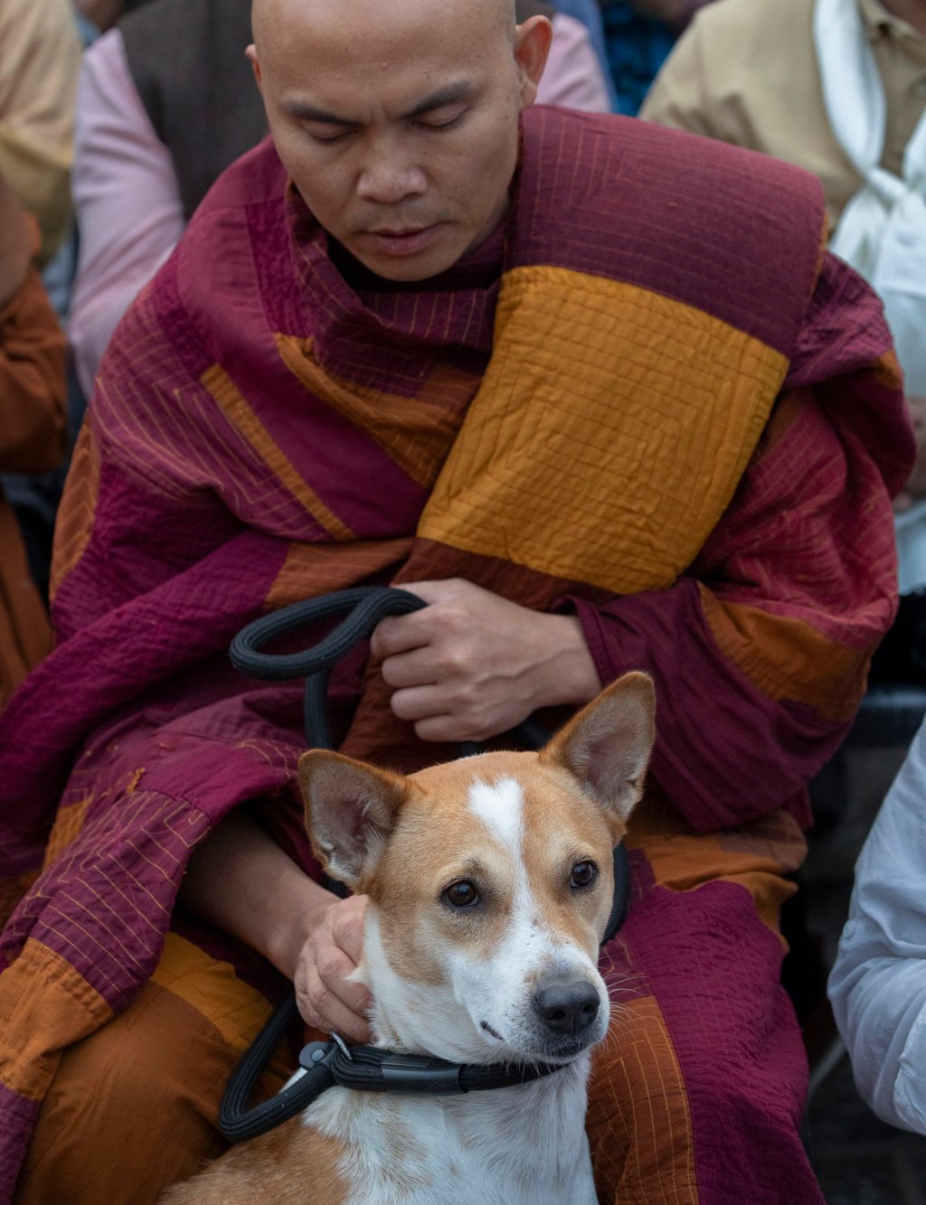 A monk, accompanied by “Peace Dog” Aloka, attends a condolence prayer meeting for flash flood victims in Kathmandu on October 8. Photo: EPA