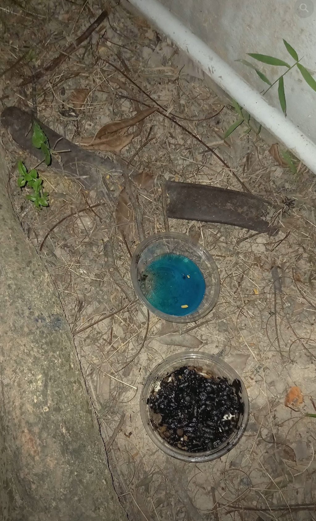 A social media user posted photos of bowls of tainted water and food were posted online Photo: Handout
