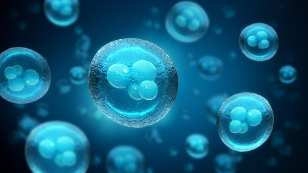 Traditional stem cell-based therapies for Type 1 diabetes use pancreatic and bone marrow stem cells but these are hard to obtain and prone to rejection by the body’s immune system. Photo: Getty Images Traditional stem cell-based therapies for Type 1 diabetes use pancreatic and bone marrow stem cells but these are hard to obtain and prone to rejection by the body’s immune system. Photo: Getty Images
