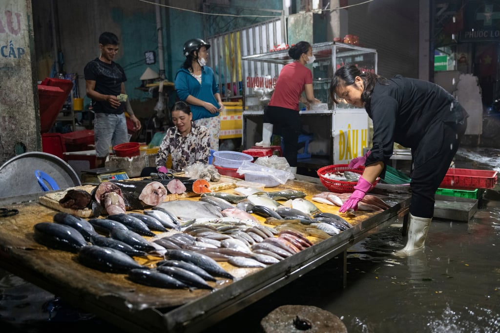 A vendor sells fish on a flooded pavement in Ho Chi Minh City. Vietnam’s pangasius exports to Brazil reached US$144 million in the first nine months of this year. Photo: AP A vendor sells fish on a flooded pavement in Ho Chi Minh City. Vietnam’s pangasius exports to Brazil reached US$144 million in the first nine months of this year. Photo: AP