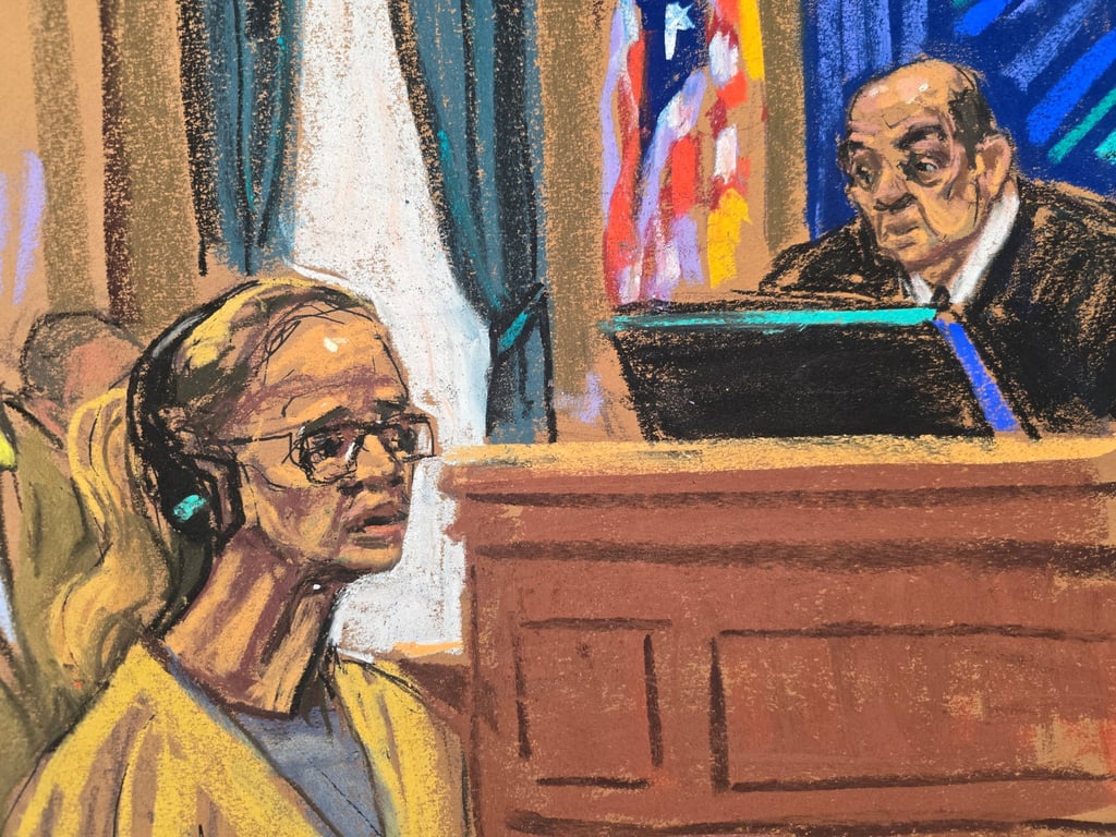 Cilia Flores, wife of ousted Venezuelan leader Nicolas Maduro, stands before Judge Alvin Hellerstein in New York on October 15. Courtroom sketch: Jane Rosenberg via Reuters Cilia Flores, wife of ousted Venezuelan leader Nicolas Maduro, stands before Judge Alvin Hellerstein in New York on October 15. Courtroom sketch: Jane Rosenberg via Reuters