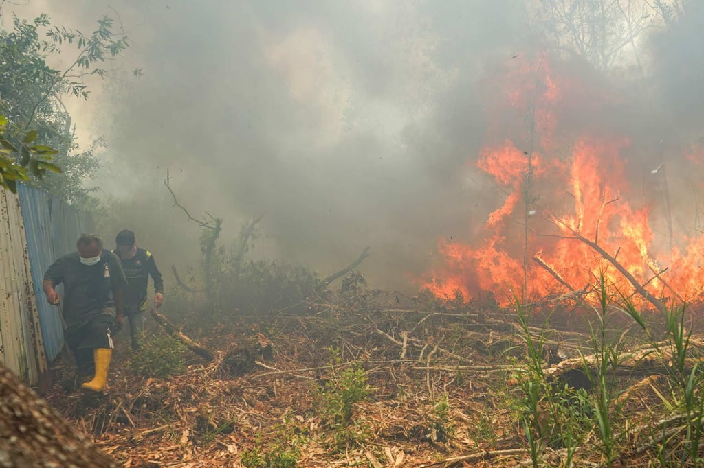 Men flee heavy smoke from a raging wildfire in South Kalimantan in October, amid widespread burning across Indonesia. Photo: AFP