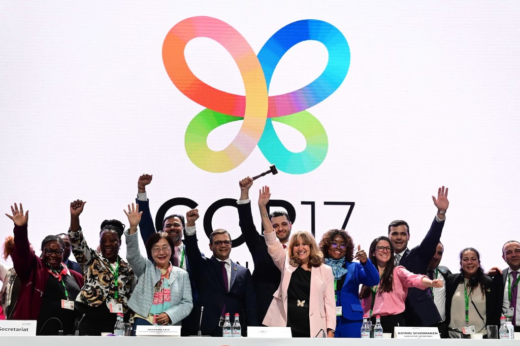 Cop17 delegates during the closing session on Saturday. Photo: AFP Cop17 delegates during the closing session on Saturday. Photo: AFP