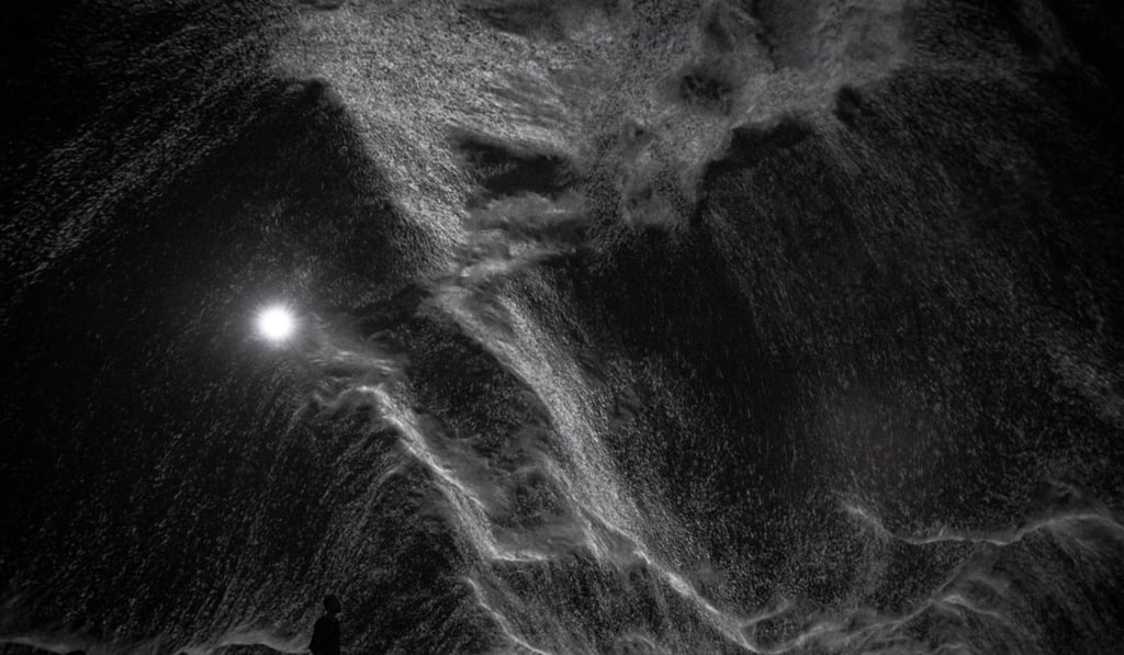 Black Moves by Carla Chan. Photo: courtesy of Carla Chan