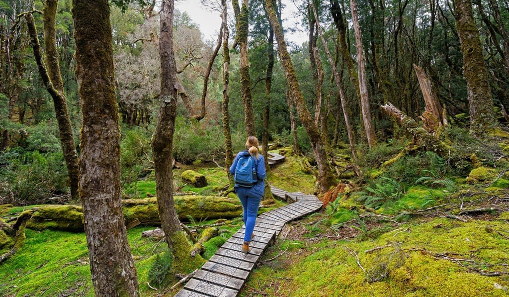 Hiking around the Cradle Mountain is one of the must-dos in the Australia’s island state. Photo: Shutterstock