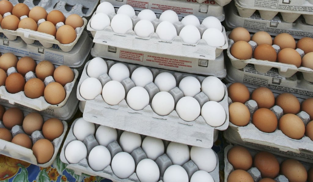 The study showed that eating more eggs elevated the chances of dying early among participants. Photo: AP/Mark Lennihan