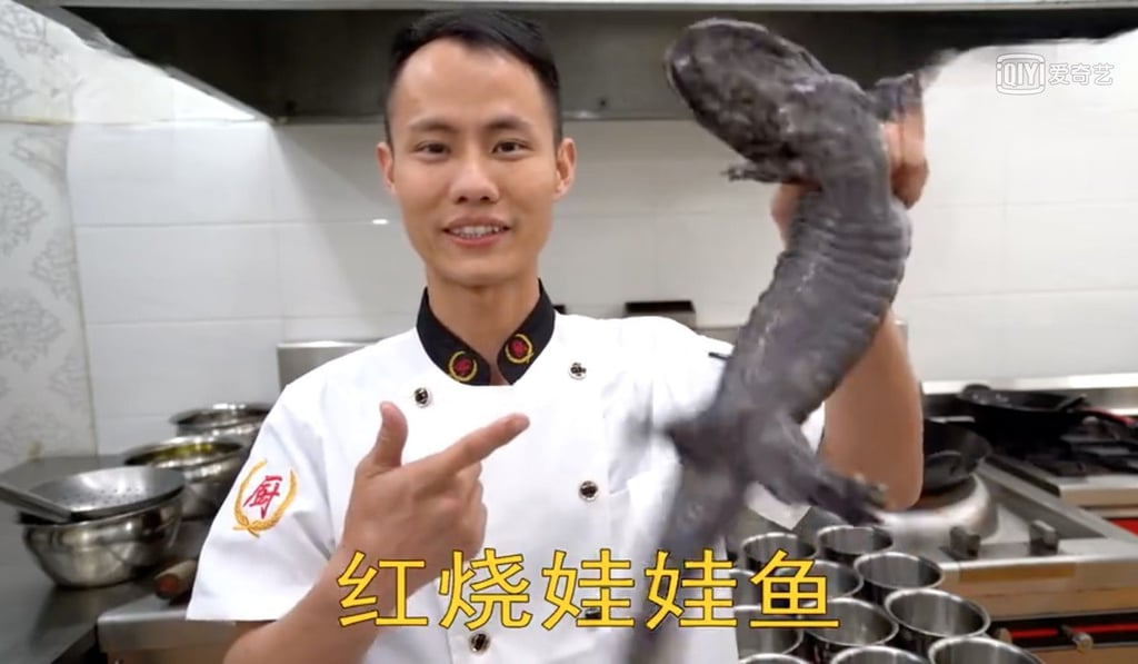 Chinese celebrity chef Wang Yang is famous for his “hard core” approach to cooking videos but his preparation of an endangered giant salamander, including killing it and cutting it open on camera, has got him into trouble with many fans. Photo: Iqiyi.com