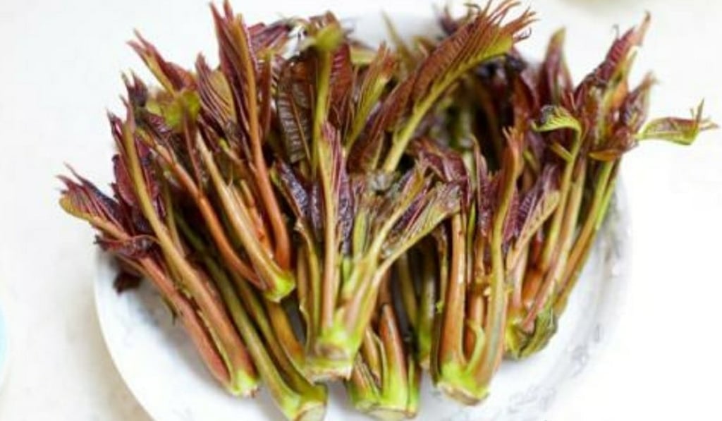 The vegetable, known as xiangchun in Chinese, is used in a variety of dishes. Photo: Weibo