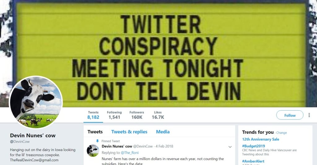 The Devin Nunes' cow account had 160,000 followers by Tuesday afternoon. Photo: Twitter