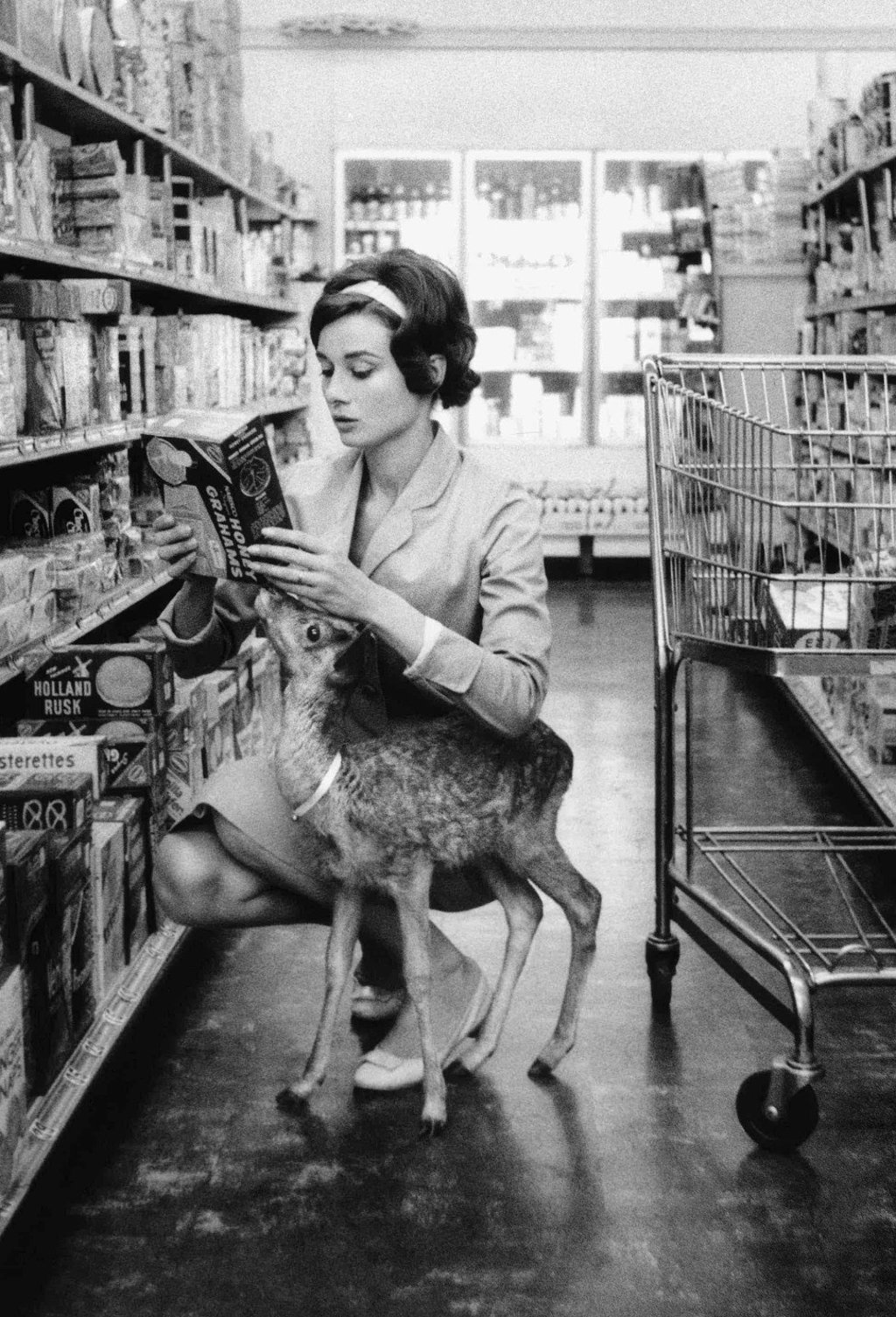 Audrey takes Ip the deer, from the movie Green Mansions, shopping in Gelson’s market, Beverly Hills in 1958. Photo: Bob Willoughby