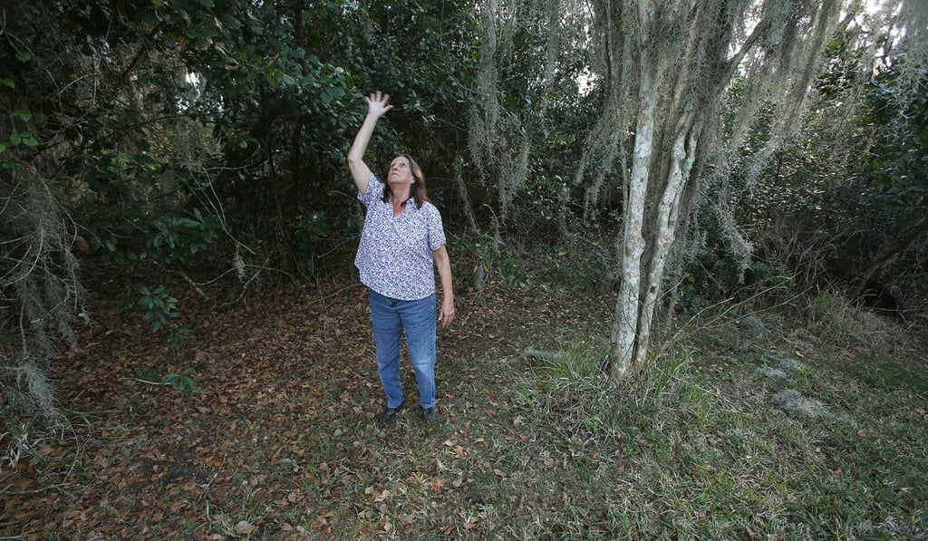 A March 2013 photo of Trish Bishop showing the spot in her in garden where she claims she saw an alien. Photo: TNS