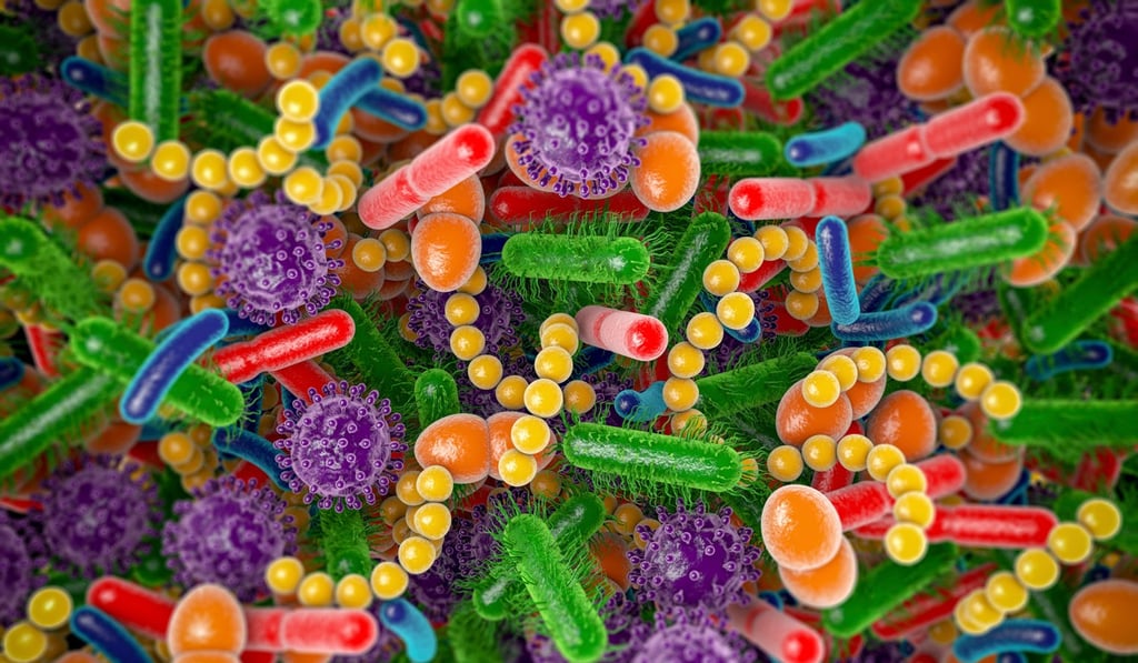 The microbiome is the collection of microbes found on and in the human body. Photo: Alamy The microbiome is the collection of microbes found on and in the human body. Photo: Alamy