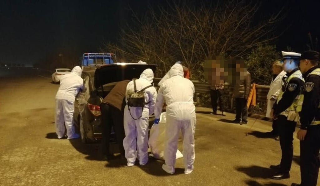 Officials seized the pigs at a checkpoint as the men were driving home last Thursday. Photo: Handout