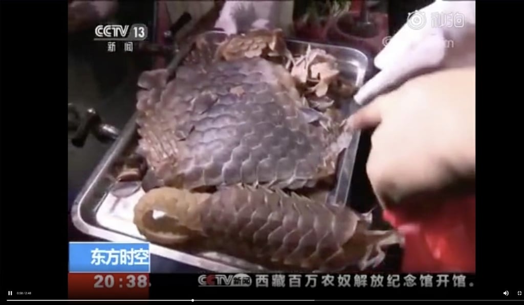 The operation involved customs authorities near the border with Vietnam. Photo: Miaopai