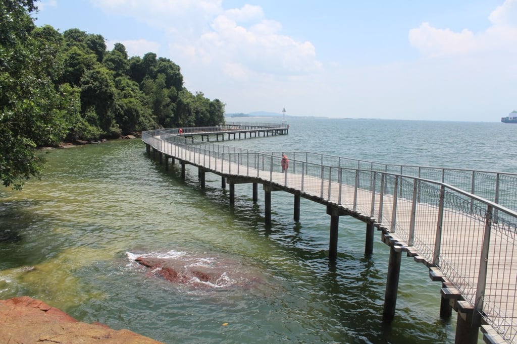Pulau Ubin boardwalk. Photo: Tommy Walker
