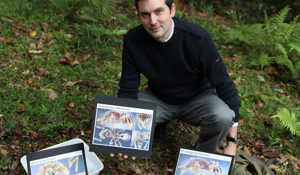 Research leader Benoit Guenard from HKU’s school of biological sciences. Photo: Winson Wong