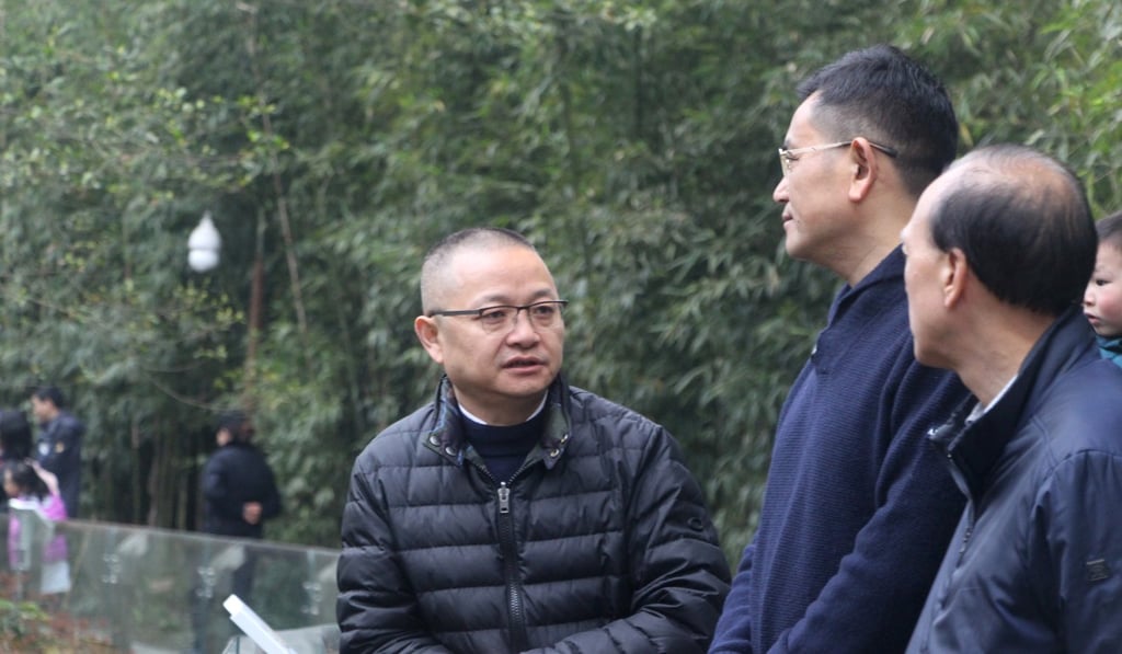 Zhang Zhihe, director of the Chengdu Research Base of Giant Panda Breeding (left), said sending Ying Ying and Le Le back to the mainland could be the answer. Photo: Kanis Leung