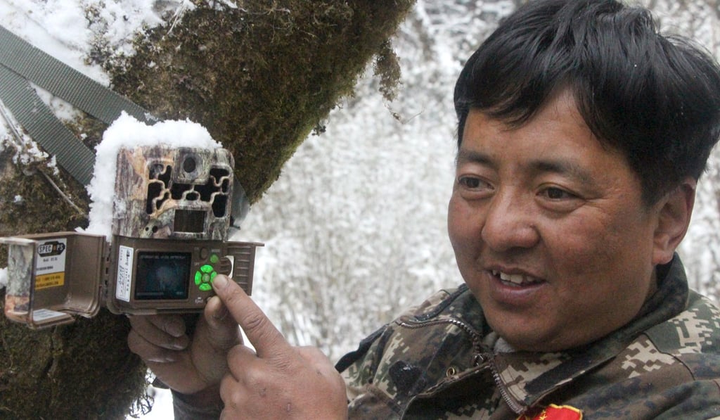 Yang Fan, researcher at Dengsheng Conservation Area, shows footage of a sambar deer captured by an infrared camera. Photo: Kanis Leung