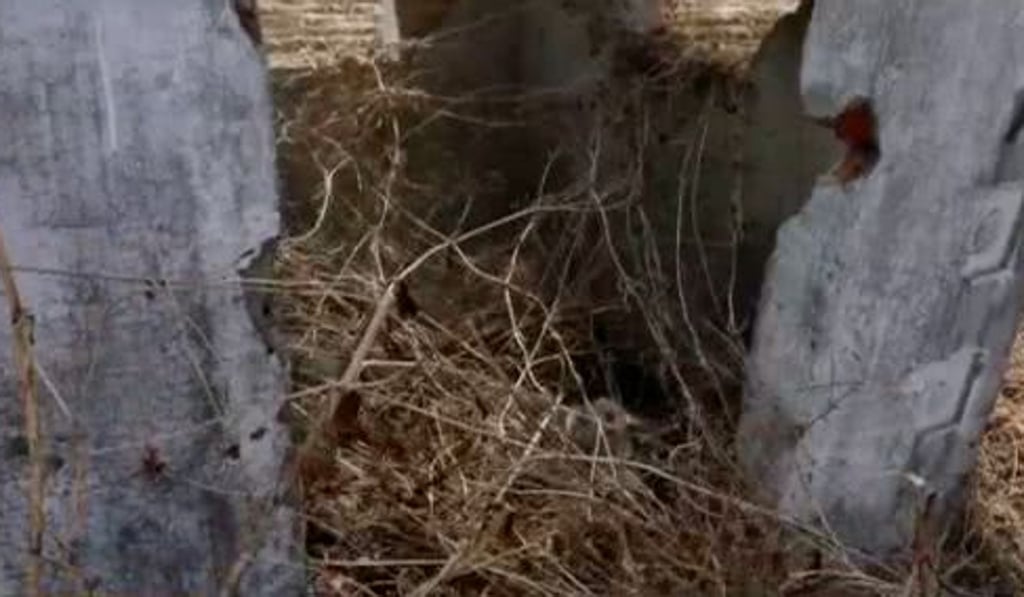 One of the abandoned wells dug as part of a poverty busting programme in China’s northern Liaoning province. Photo: Weibo